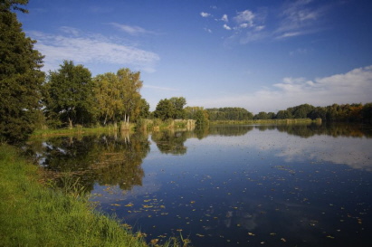 Unsere Angelteiche im Süden Brandenburgs