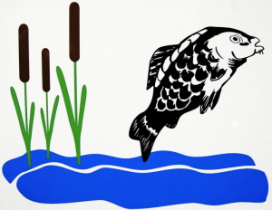 Fischverkauf Karpfen, Forelle, Hecht, Zander im eigenen Hofladen